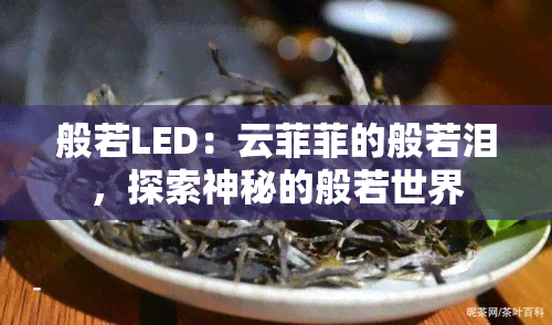 般若LED：云菲菲的般若泪，探索神秘的般若世界