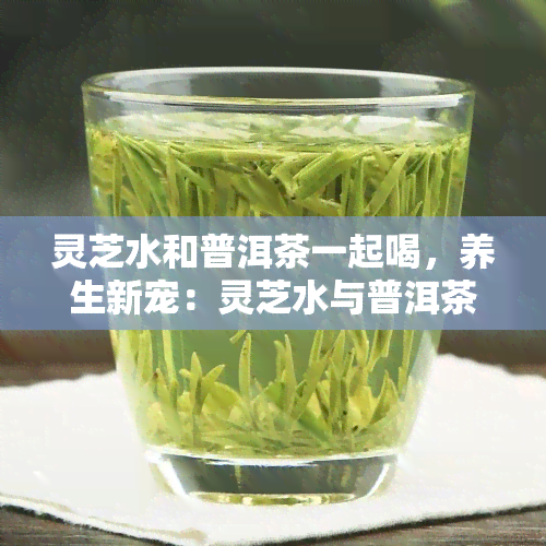 灵芝水和普洱茶一起喝，养生新宠：灵芝水与普洱茶的完美搭配