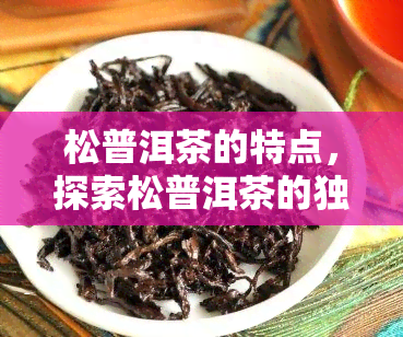 松普洱茶的特点，探索松普洱茶的独特特点与魅力