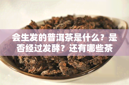 会生发的普洱茶是什么？是否经过发酵？还有哪些茶具有此功效？