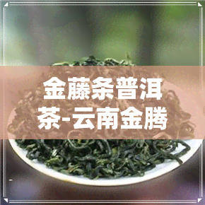 金藤条普洱茶-云南金腾普洱茶怎么样