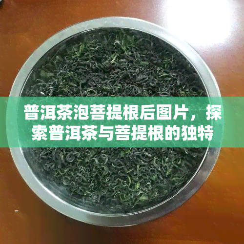 普洱茶泡菩提根后图片，探索普洱茶与菩提根的独特结合：一张图带你领略其美妙瞬间