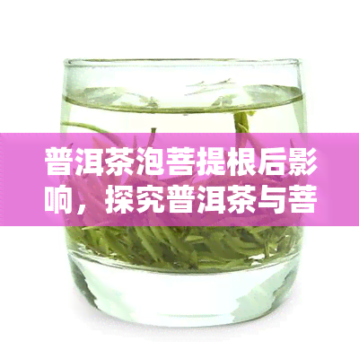 普洱茶泡菩提根后影响，探究普洱茶与菩提根的泡饮结合对身体的影响