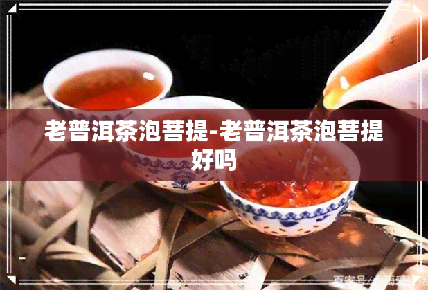 老普洱茶泡菩提-老普洱茶泡菩提好吗