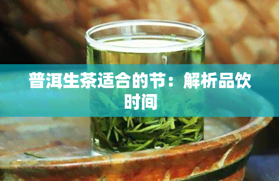 普洱生茶适合的节：解析品饮时间