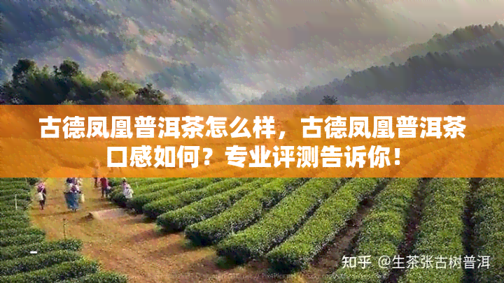 古德凤凰普洱茶怎么样，古德凤凰普洱茶口感如何？专业评测告诉你！