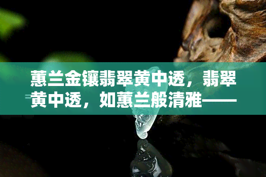 蕙兰金镶翡翠黄中透，翡翠黄中透，如蕙兰般清雅——金镶翡翠的独特魅力