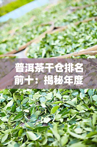 普洱茶干仓排名前十：揭秘年度