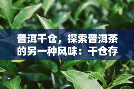 普洱干仓，探索普洱茶的另一种风味：干仓存的魅力