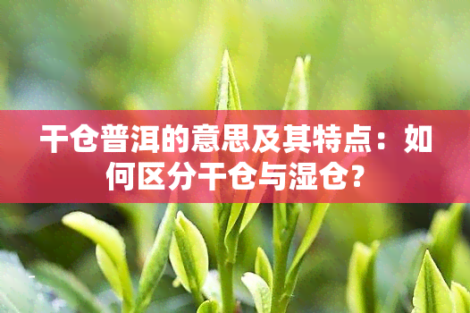 干仓普洱的意思及其特点：如何区分干仓与湿仓？