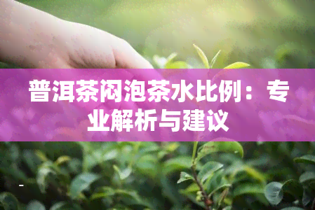 普洱茶闷泡茶水比例：专业解析与建议