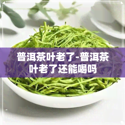 普洱茶叶老了-普洱茶叶老了还能喝吗