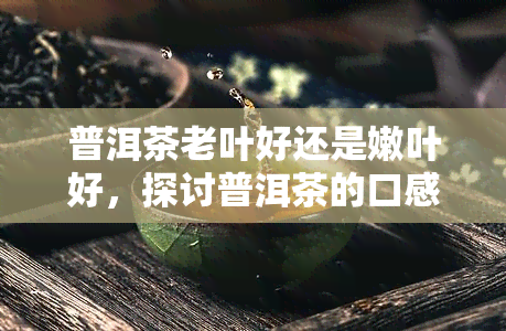 普洱茶老叶好还是嫩叶好，探讨普洱茶的口感：老叶与嫩叶哪个更好？