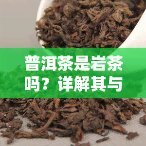 普洱茶是岩茶吗？详解其与岩茶的区别与联系