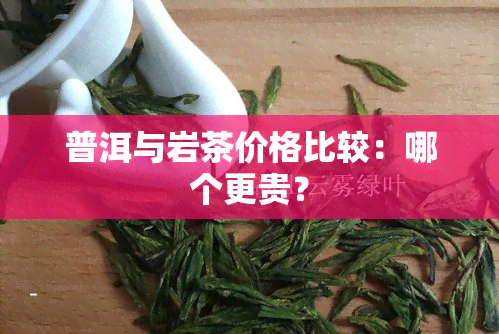 普洱与岩茶价格比较：哪个更贵？