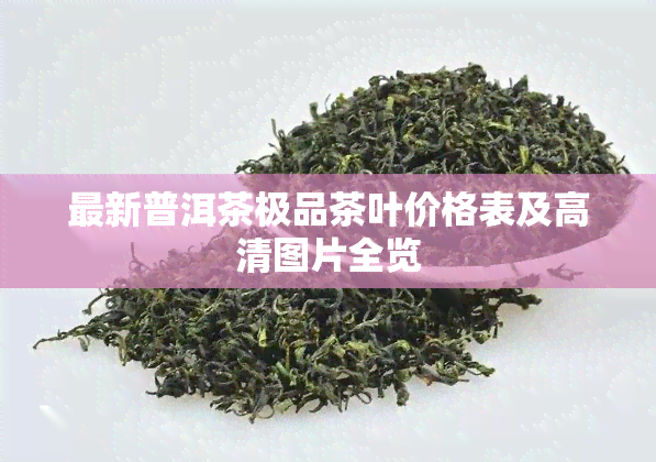 最新普洱茶极品茶叶价格表及高清图片全览