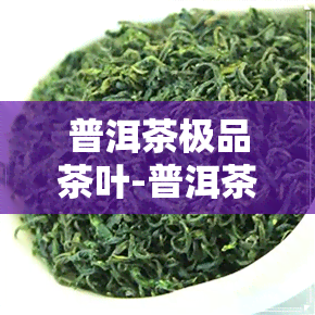 普洱茶极品茶叶-普洱茶极品茶叶图片