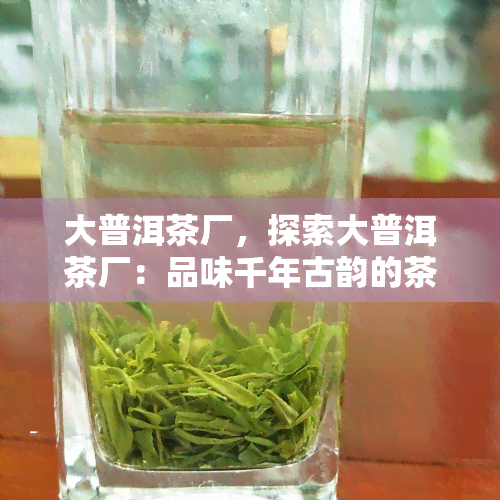 大普洱茶厂，探索大普洱茶厂：品味千年古韵的茶香之旅