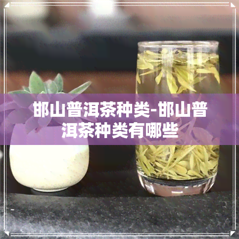 邯山普洱茶种类-邯山普洱茶种类有哪些