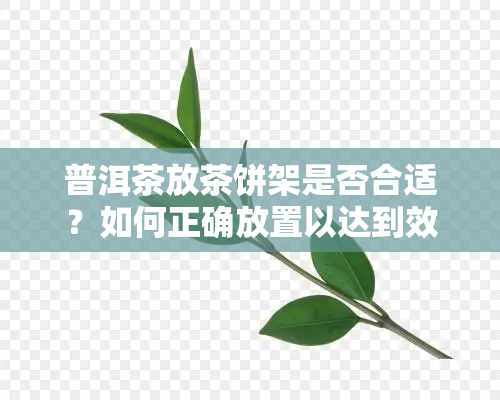 普洱茶放茶饼架是否合适？如何正确放置以达到效果？