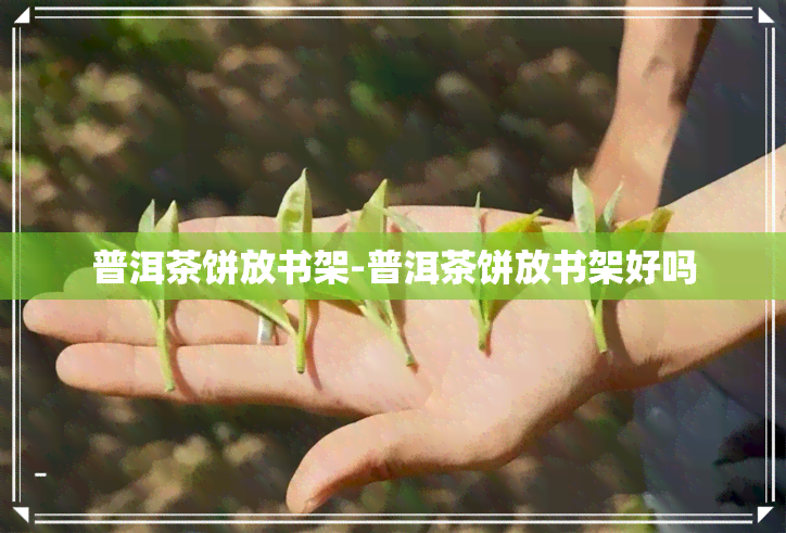 普洱茶饼放书架-普洱茶饼放书架好吗