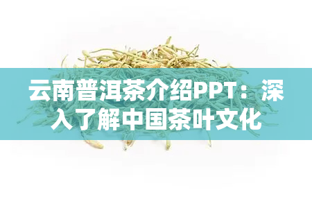 云南普洱茶介绍PPT：深入了解中国茶叶文化