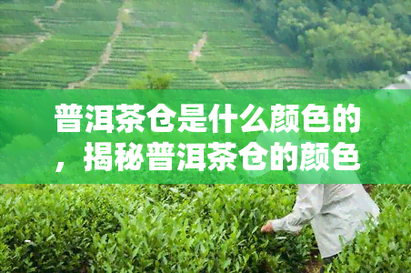 普洱茶仓是什么颜色的，揭秘普洱茶仓的颜色：你所不知道的事实