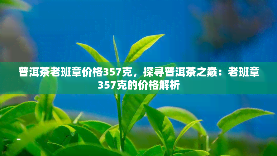 普洱茶老班章价格357克，探寻普洱茶之巅：老班章357克的价格解析