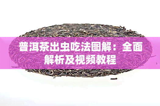 普洱茶出虫吃法图解：全面解析及视频教程