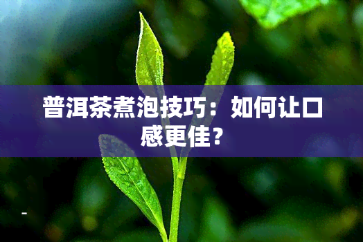 普洱茶煮泡技巧：如何让口感更佳？