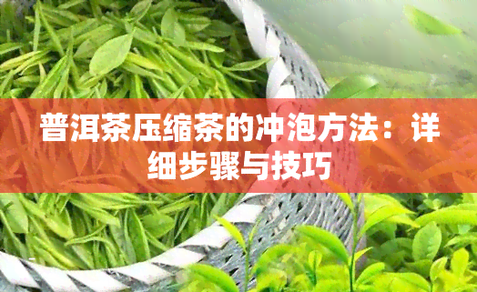 普洱茶压缩茶的冲泡方法：详细步骤与技巧