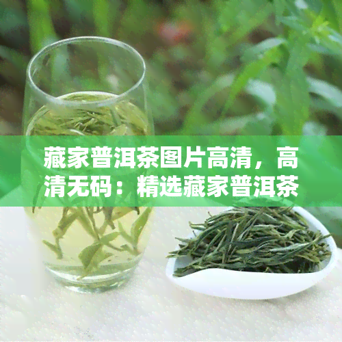 藏家普洱茶图片高清，高清 *** ：精选藏家普洱茶图片，让您一饱眼福！