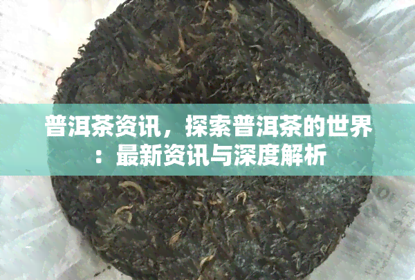 普洱茶资讯，探索普洱茶的世界：最新资讯与深度解析