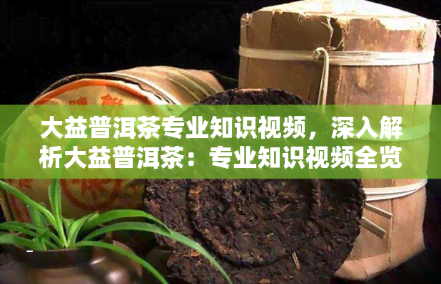 大益普洱茶专业知识视频，深入解析大益普洱茶：专业知识视频全览