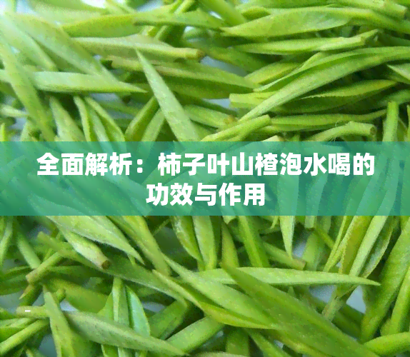 全面解析：柿子叶山楂泡水喝的功效与作用