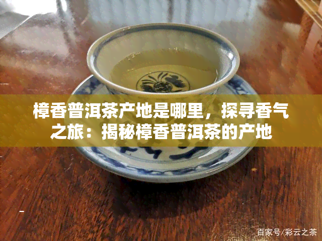 樟香普洱茶产地是哪里，探寻香气之旅：揭秘樟香普洱茶的产地