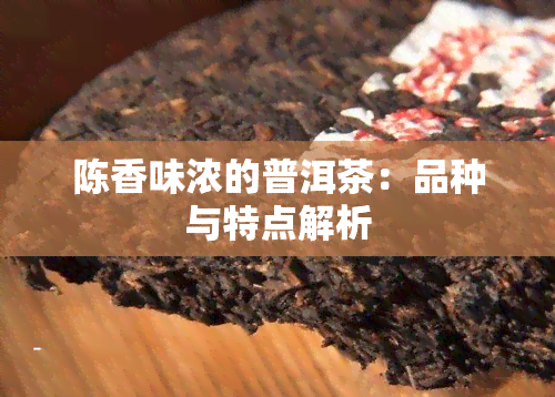 陈香味浓的普洱茶：品种与特点解析