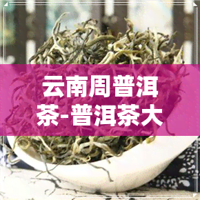 云南周普洱茶-普洱茶大师周