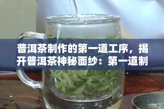 普洱茶制作的之一道工序，揭开普洱茶神秘面纱：之一道制作工序解析