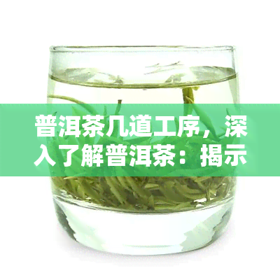 普洱茶几道工序，深入了解普洱茶：揭示其制作的几道关键工序