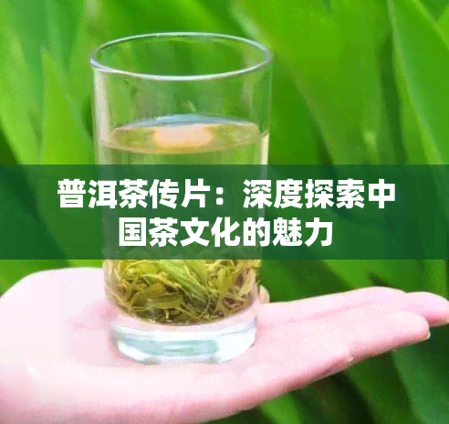 普洱茶传片：深度探索中国茶文化的魅力