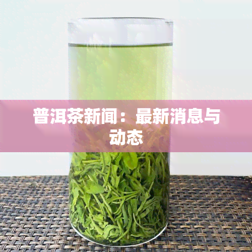 普洱茶新闻：最新消息与动态