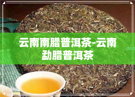 云南南腊普洱茶-云南勐腊普洱茶