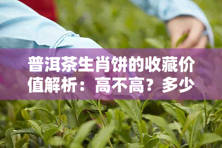 普洱茶生肖饼的收藏价值解析：高不高？多少？