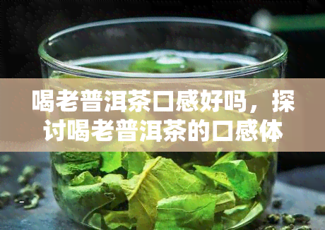 喝老普洱茶口感好吗，探讨喝老普洱茶的口感体验：是否值得尝试？