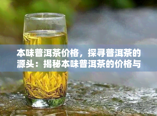 本味普洱茶价格，探寻普洱茶的源头：揭秘本味普洱茶的价格与价值