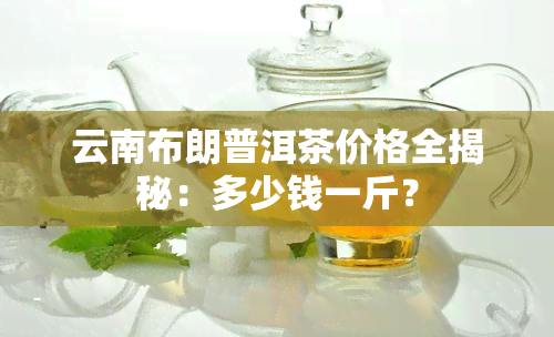 云南布朗普洱茶价格全揭秘：多少钱一斤？