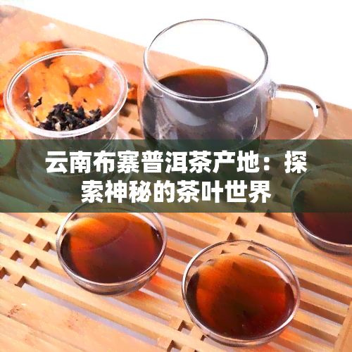 云南布寨普洱茶产地：探索神秘的茶叶世界