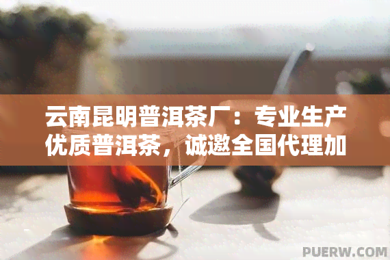 云南昆明普洱茶厂：专业生产优质普洱茶，诚邀全国代理加盟！