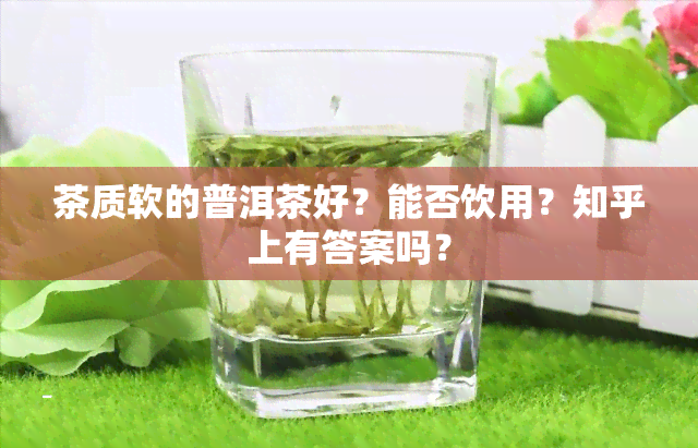 茶质软的普洱茶好？能否饮用？知乎上有答案吗？